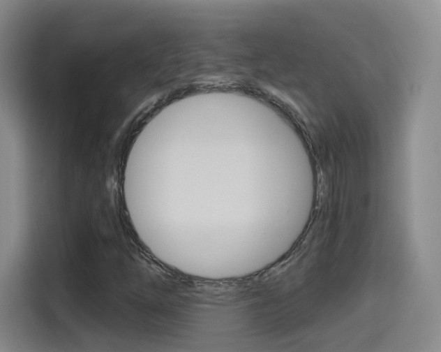 X0000114551254200910190944