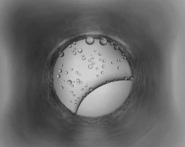 X0000114551255200910190944