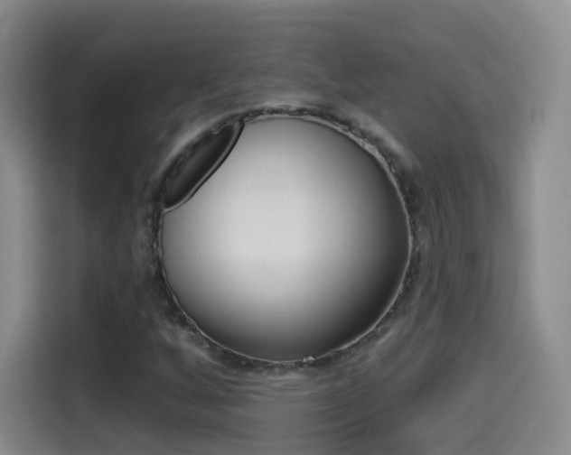 X0000114551256200910190944