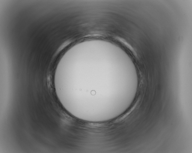 X0000114551258200910190944