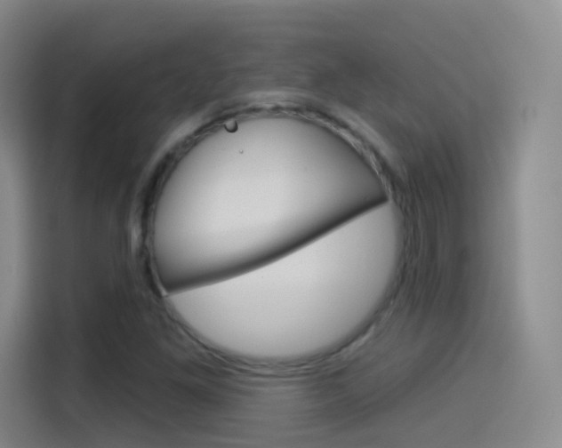 X0000114551261200910190944