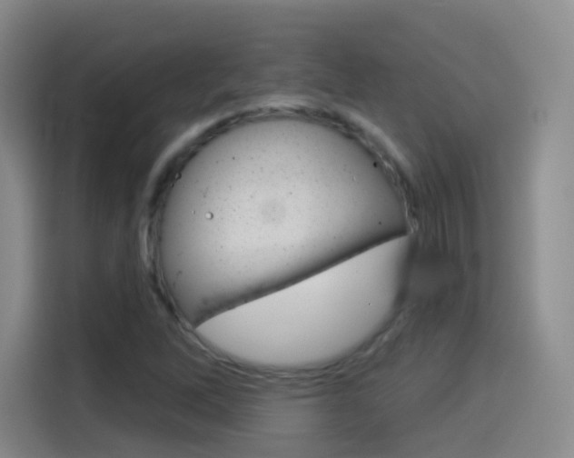 X0000114551262200910190944
