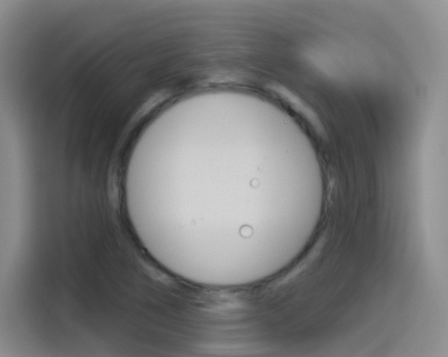 X0000114551266200910190944