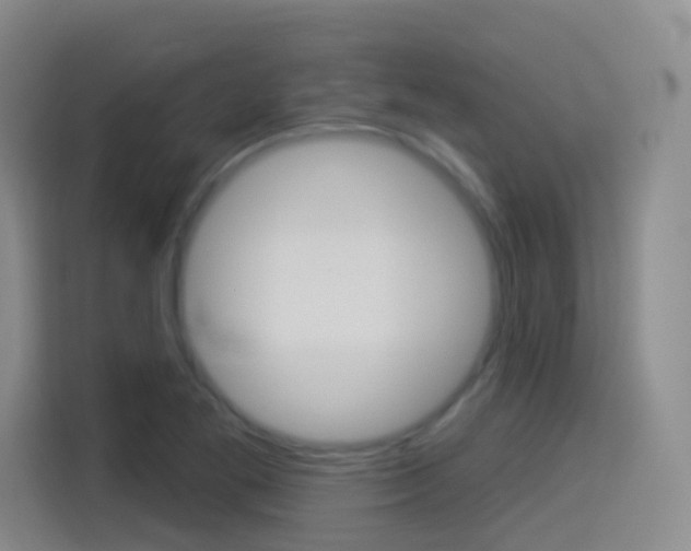 X0000114551269200910190944
