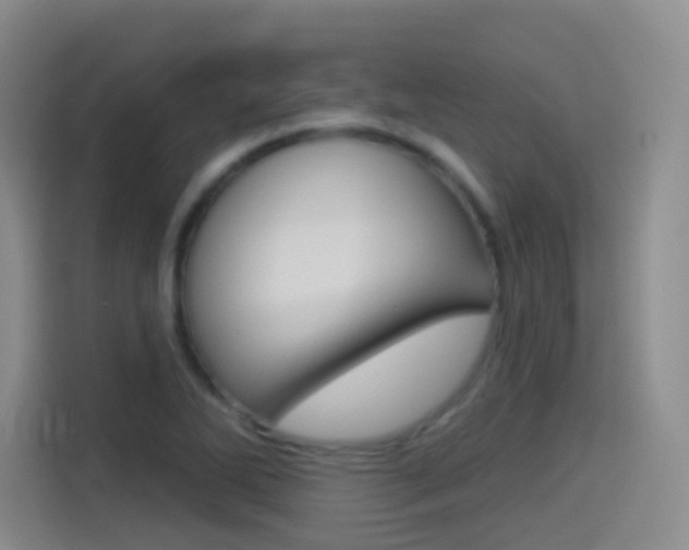 X0000114551270200910190944
