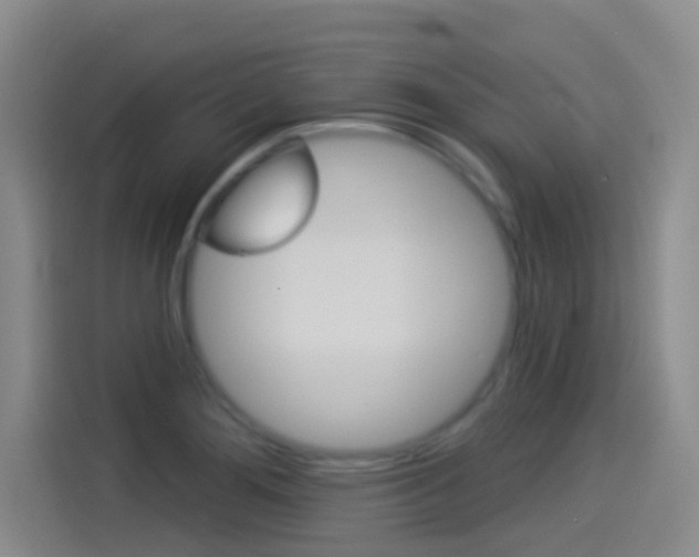 X0000114551276200910190944