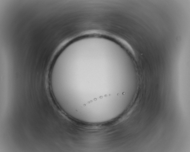 X0000114551279200910190944