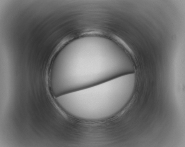 X0000114551282200910190944