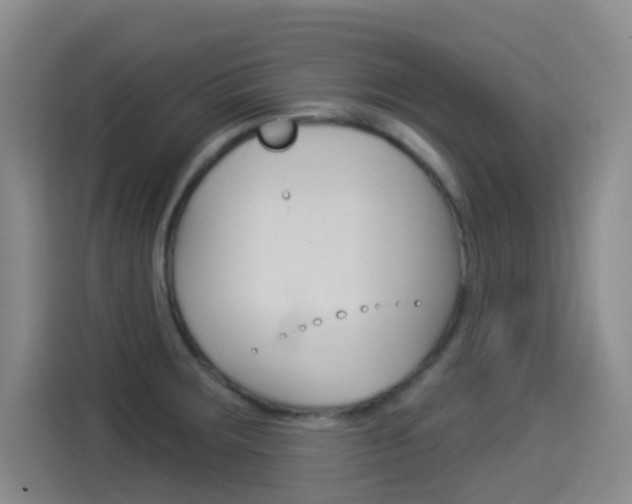 X0000114551283200910190944