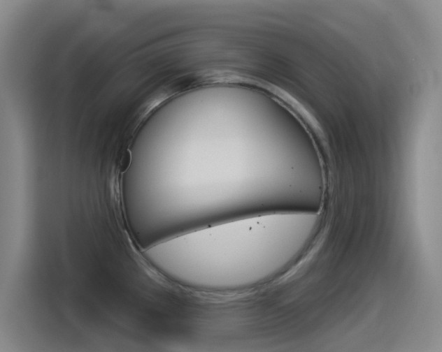 X0000114551289200910190944
