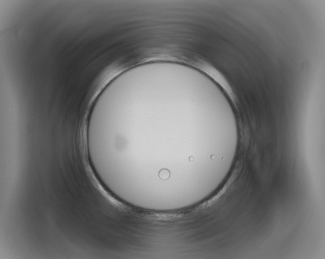 X0000114551290200910190944