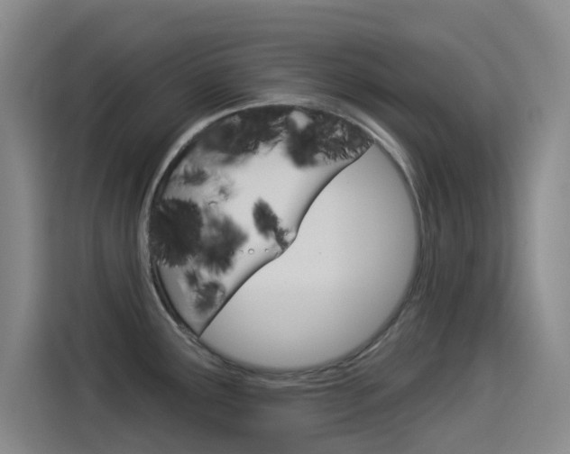X0000114551291200910190944