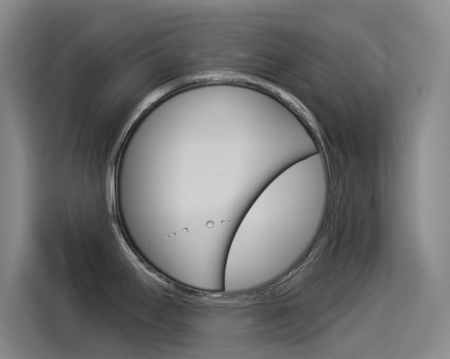 X0000114551295200910190944