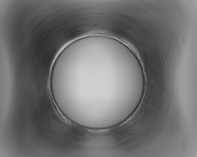 X0000114551296200910190944