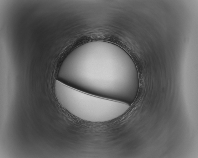 X0000114551297200910190943