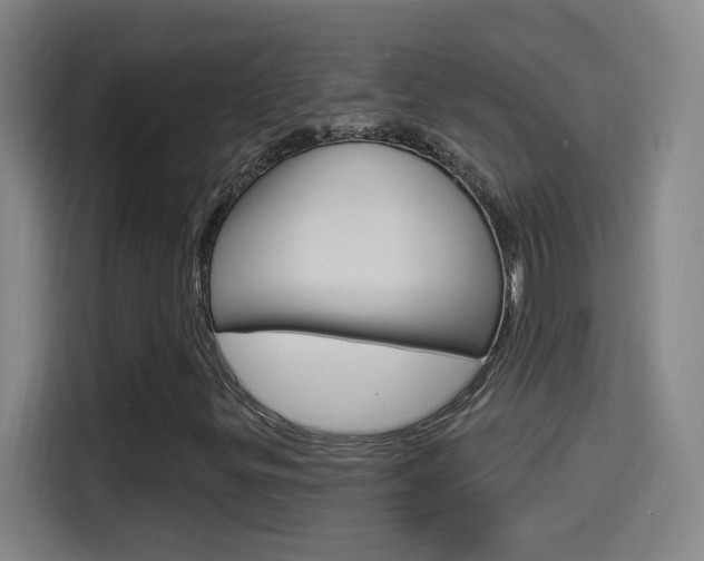 X0000114551299200910190943