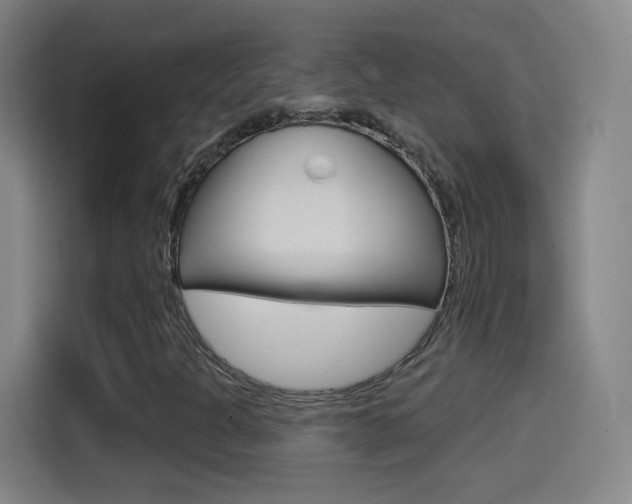 X0000114551301200910190943