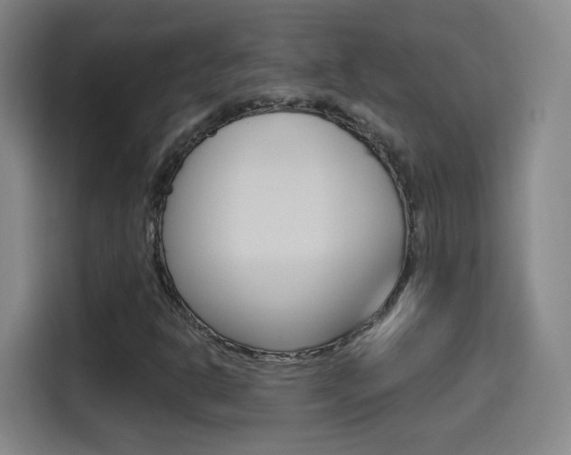 X0000114551302200910190943