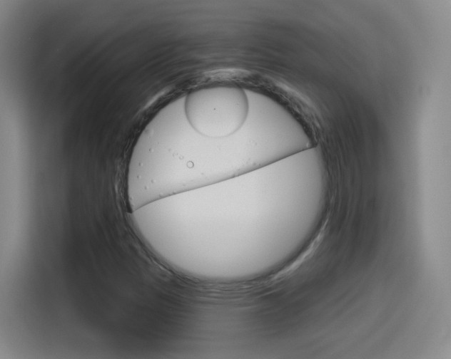 X0000114551305200910190943