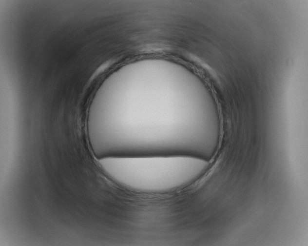 X0000114551306200910190943