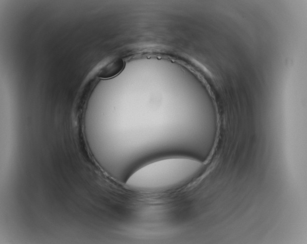 X0000114551309200910190943