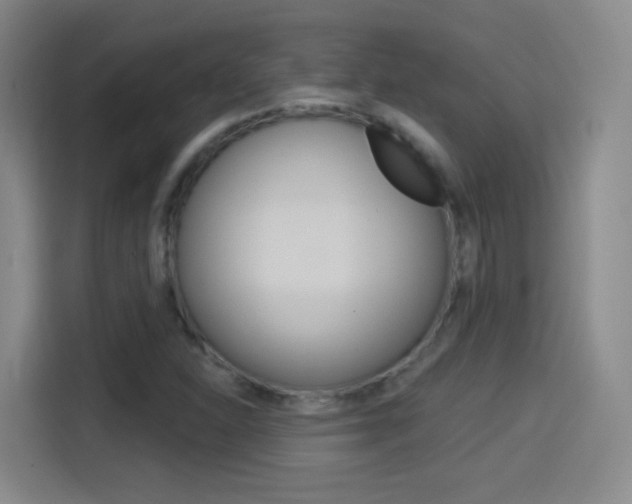 X0000114551310200910190943