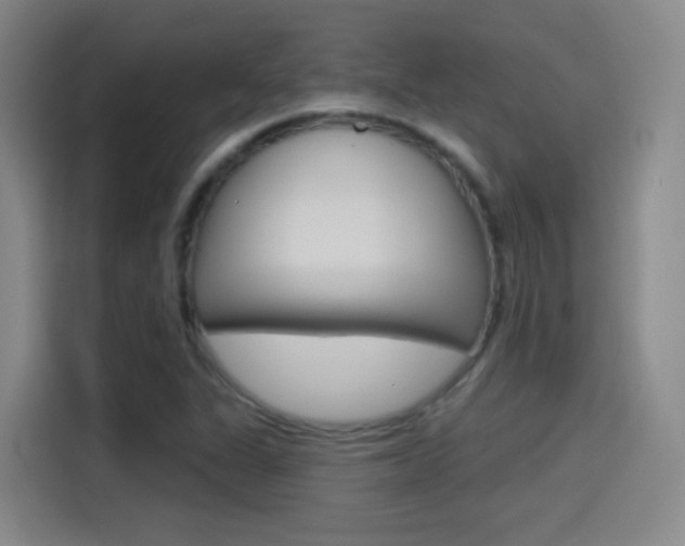 X0000114551311200910190943