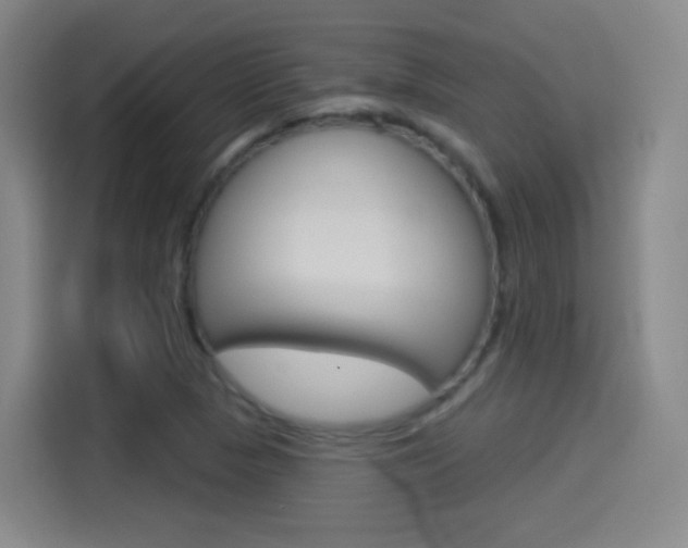 X0000114551313200910190943