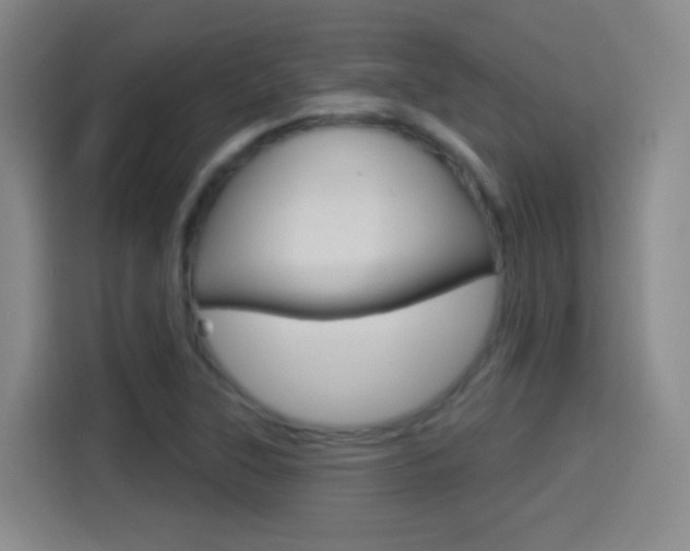 X0000114551315200910190943