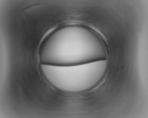 X0000114551317200910190943