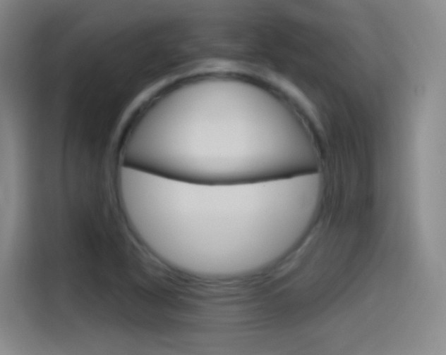 X0000114551318200910190943