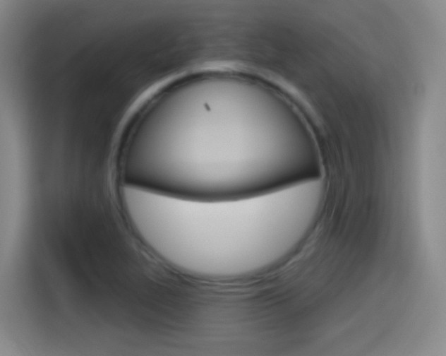 X0000114551319200910190943