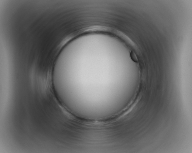 X0000114551321200910190943