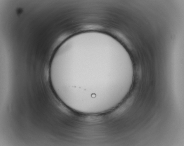 X0000114551322200910190943