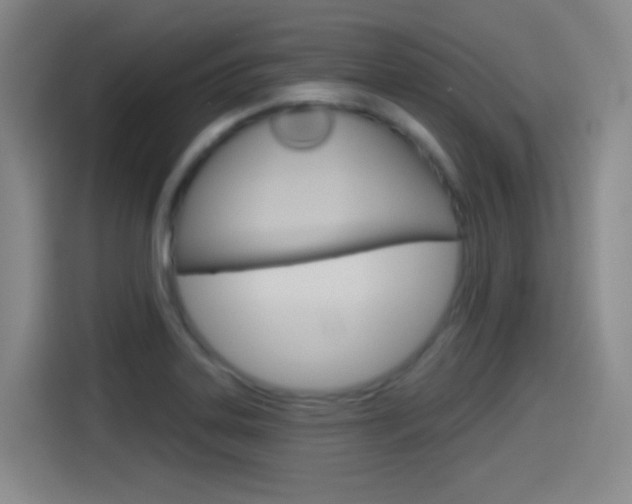 X0000114551323200910190943