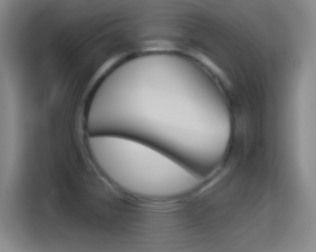 X0000114551325200910190943