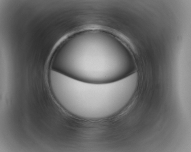X0000114551326200910190943