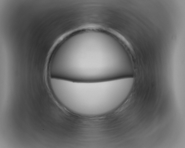 X0000114551327200910190943
