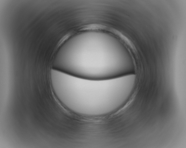X0000114551329200910190943