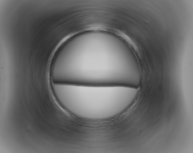 X0000114551331200910190943