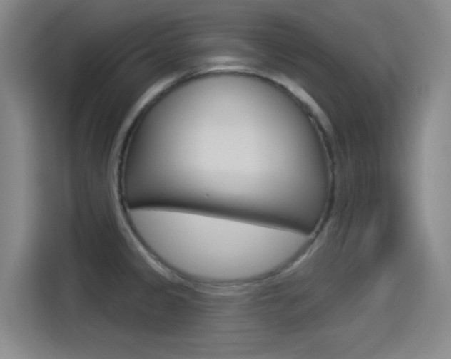 X0000114551333200910190943