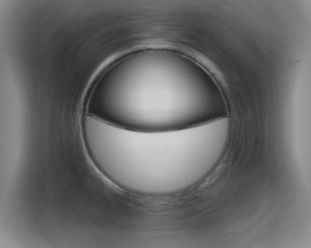 X0000114551334200910190943