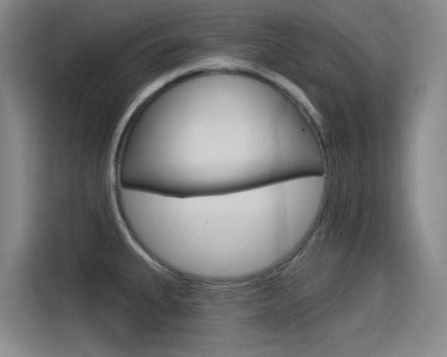 X0000114551335200910190943