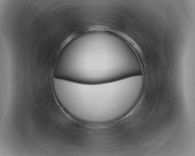 X0000114551337200910190943