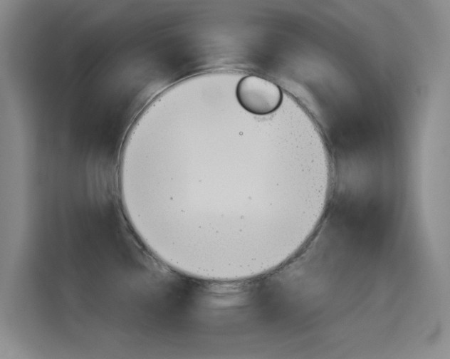 X0000114551338200910190944