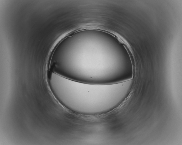 X0000114551341200910190944