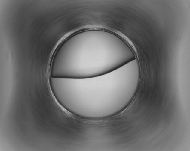 X0000114551343200910190944