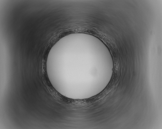 X0000114551346200910190943
