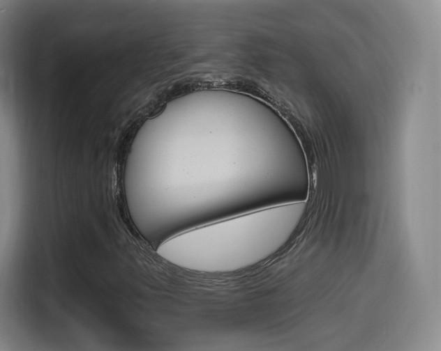 X0000114551347200910190943