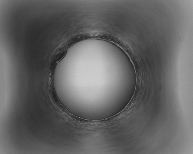 X0000114551349200910190943